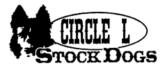 Circle L Stock Dog Arizona